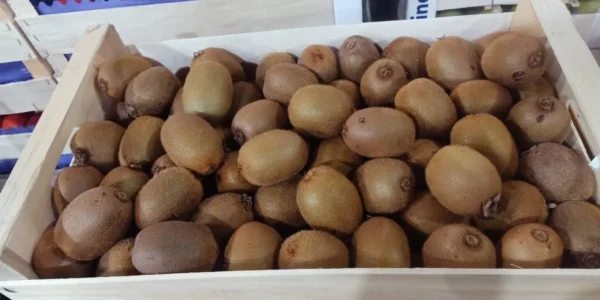⁦كيوي 500 جرام⁩ - الصورة ⁦3⁩