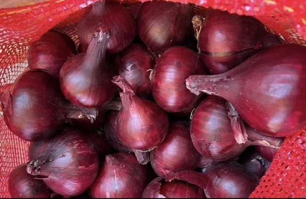 ⁦بصل احمر 1 كيلو⁩ - الصورة ⁦3⁩