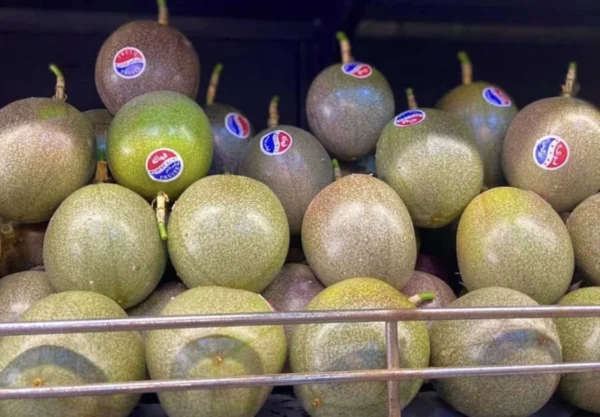 ⁦باشون فروت 1 كيلو⁩ - الصورة ⁦3⁩